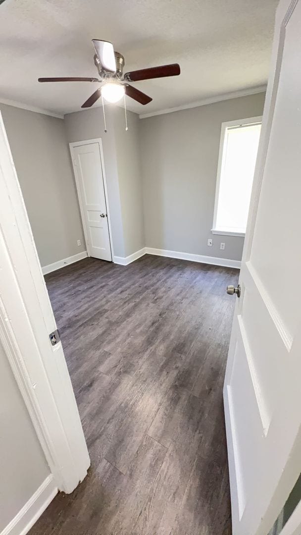 Photo - Charming 2 bedroom, 1 bathroom duplex