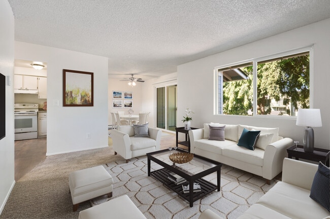 Photo - Silverwood Park