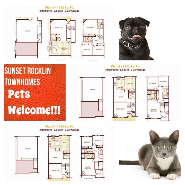 Rocklin Sunset Townhomes