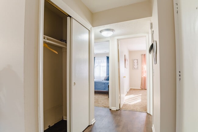 Vinyl Plank Flooring and Plush Carpet