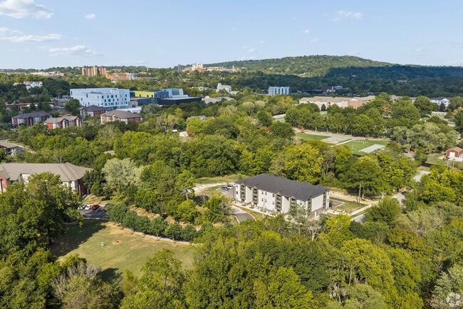 Aerial view of the neighborhood