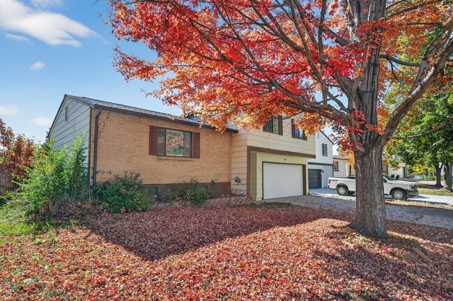 Photo - For Rent: Charming 4-Bedroom Tri-Level in ...