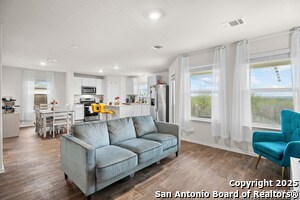 Photo - 15311 Olive Pigeon