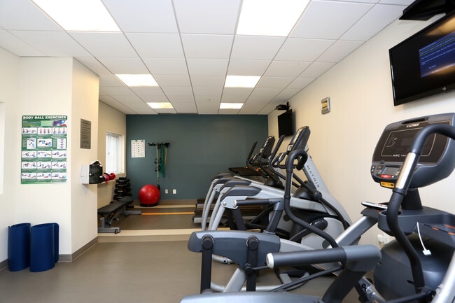 Fitness Center - 611 Park Avenue