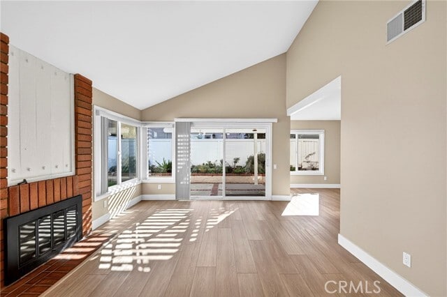 Photo - 3 Silver Fir