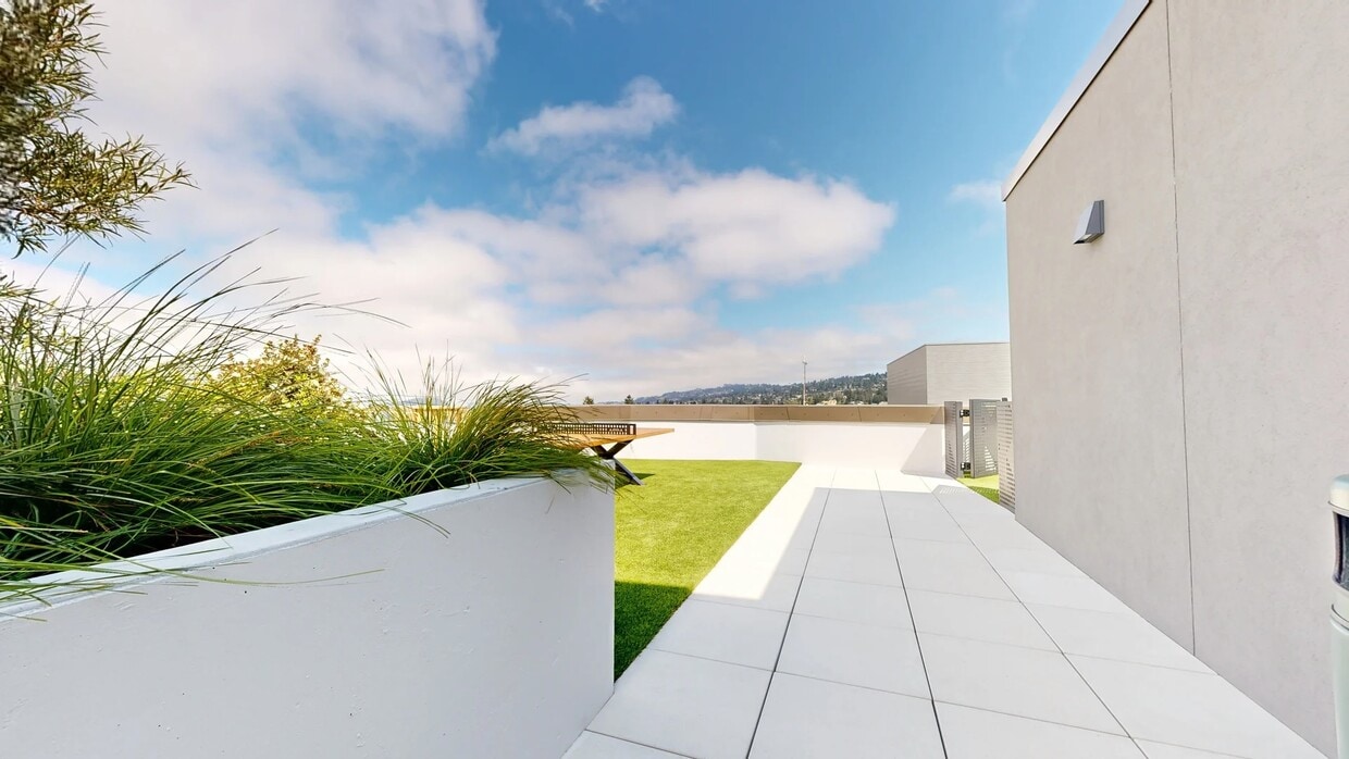 Photo - Ace Berkeley Apartments