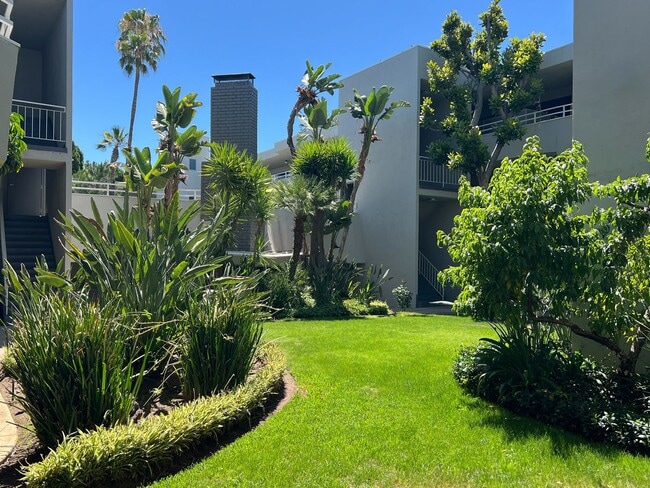 Encino Voltaire
