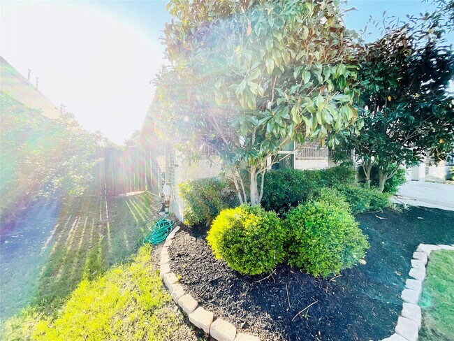 Photo - 2507 Elmwood Trl