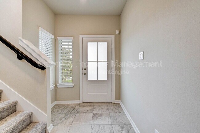 Photo - 11831 Marbled White