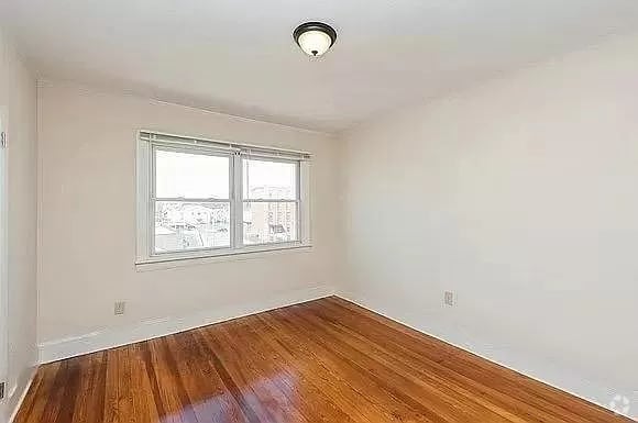 Building Photo - 45 Slater St Rental