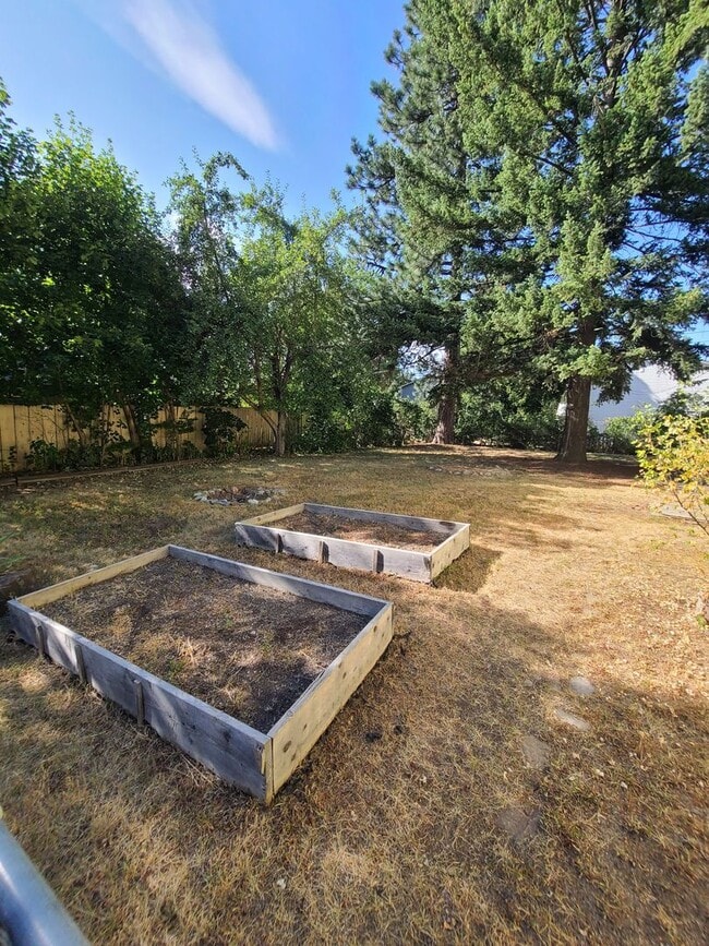 Photo - 11TH AVENUE HOUSE (P#297)