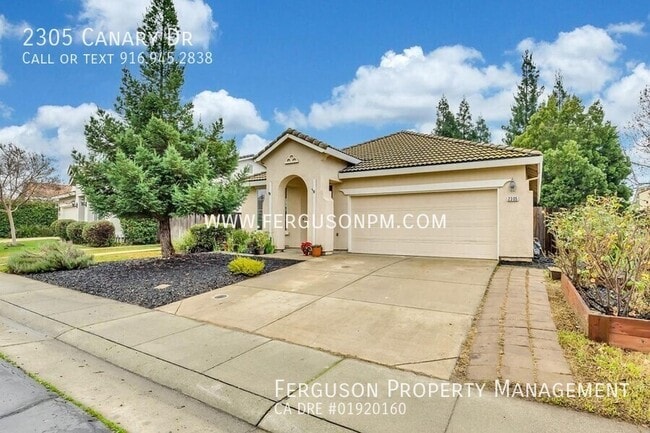 Photo - 2305 Canary Dr