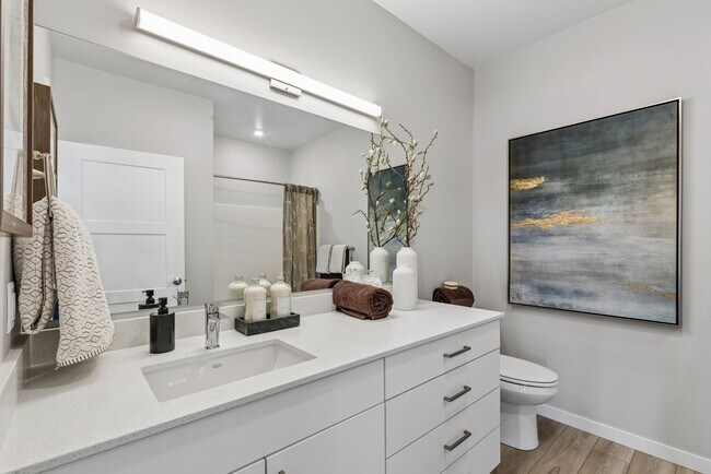 Affinity at Three Springs