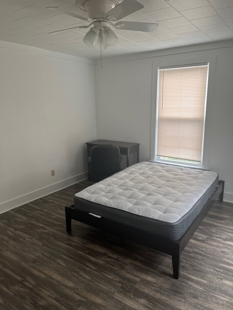 Photo - 217 Prospect St