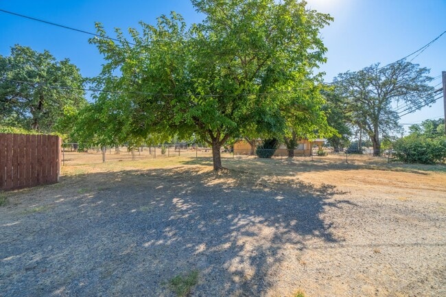 Photo - Adorable Studio Apt in Cottonwood - Dog Fr...