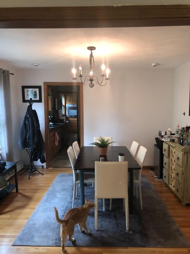 Photo - 45 Thurston St