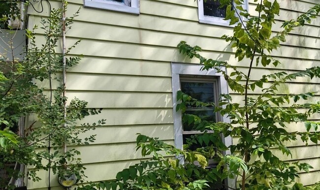 Photo - 517 Vine St