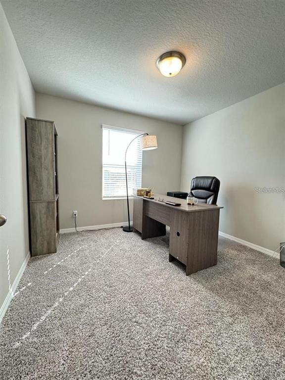 Photo - 520 Whistling Duck Trl