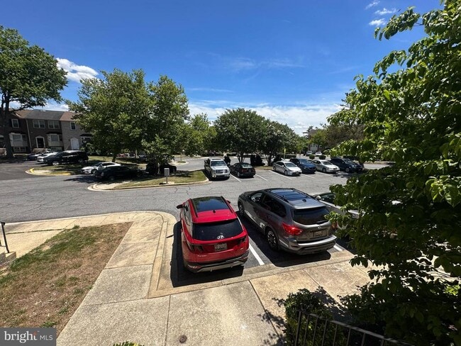 Photo - 11546 Cosca Park Pl