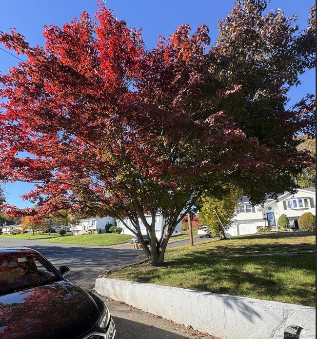 Photo - 100 Media Ave