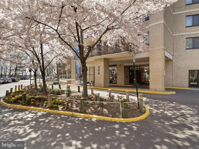 Building Photo - 309 Yoakum Pkwy Unit 1002