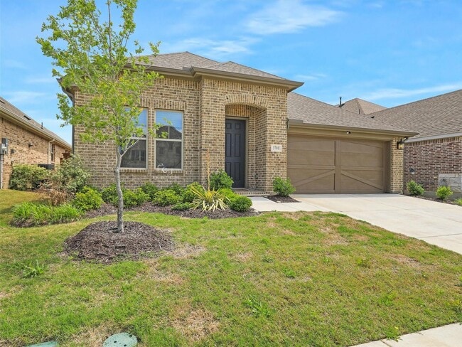 Building Photo - Upgrades galore and ready Now!