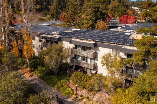 Solar Power - Shelter Creek