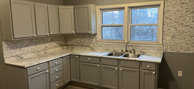 Kitchen Cabinets n Sink - 1550 Richard Gordon Hatcher Blvd Unit Apt A