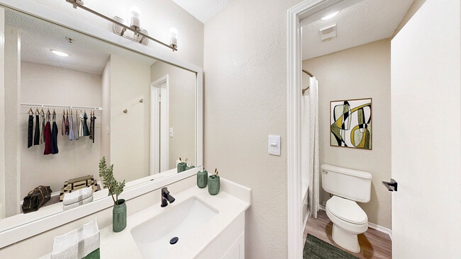 Updated Bathroom