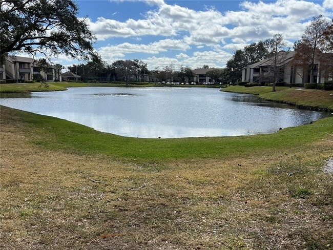 Photo - 10265 Gandy Blvd N Unit 1709