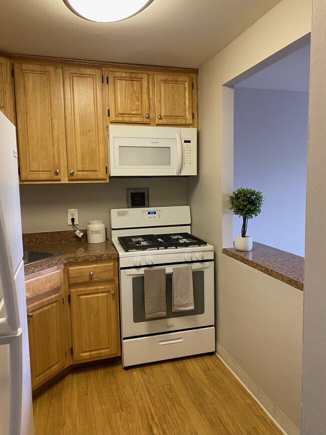 The Metropolitan Bala Apartments Temple University OffCampus