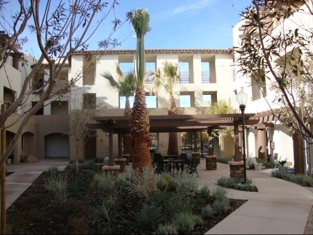 Palo Verde