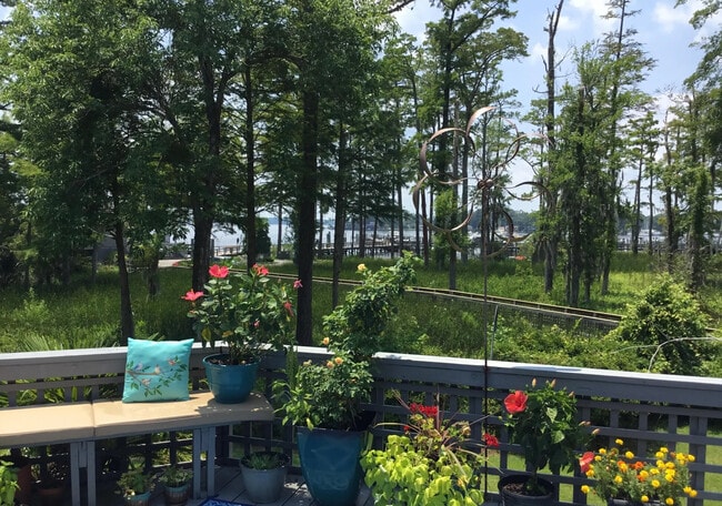 Vista al agua desde la terraza trasera. - 117 Forecastle Ct