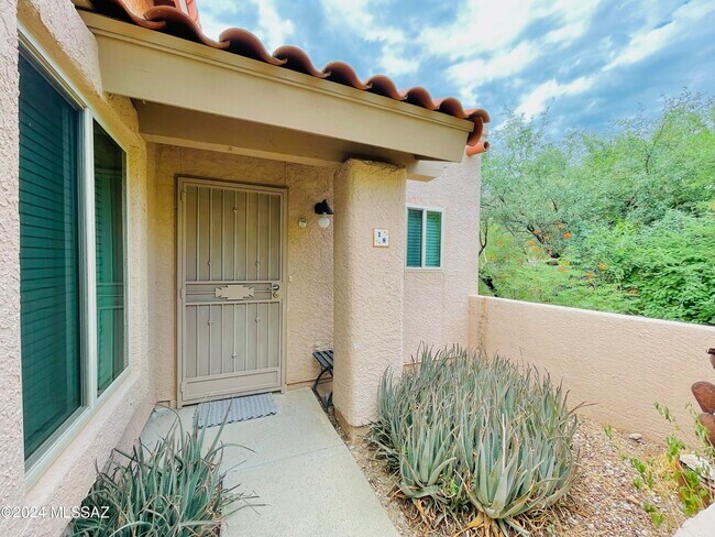 7601 N Calle Sin Envidia Unit 18