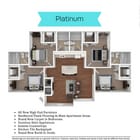 Platinum_NoPricing