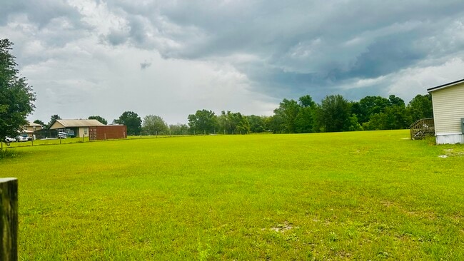 Yard - 2436 Bay Lake Loop