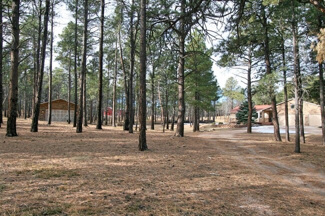 Photo - Beautifully Updated Black Forest Rancher on 5 Acres!