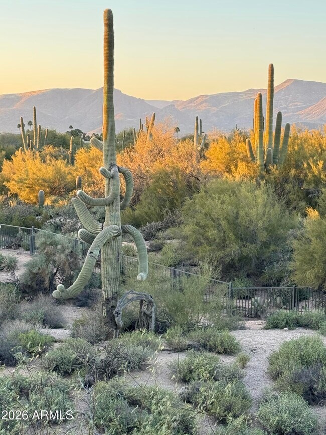 Photo - 36601 Mule Train Rd