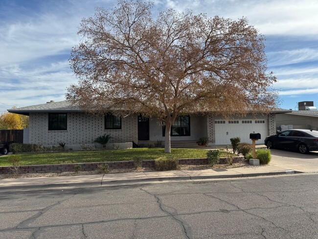 4 bedroom basement home in Cul De Sac - 4 bedroom basement home in Cul De Sac