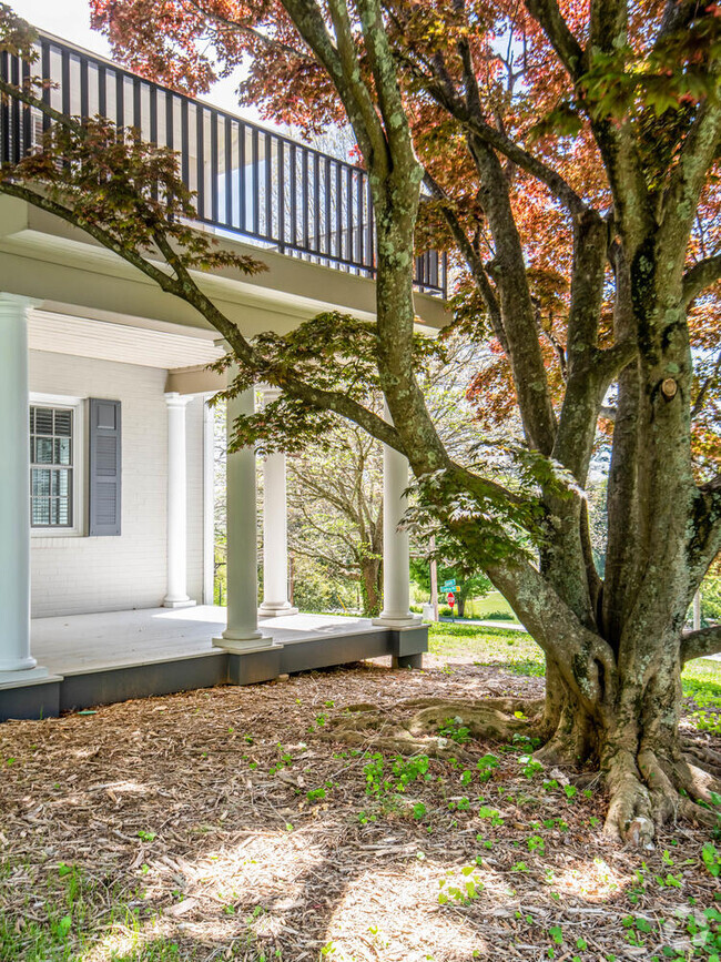 Building Photo - 4 Edgemont Rd Unit Asheville’s Finest Rental