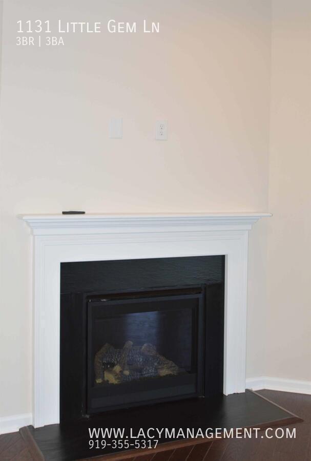 Photo - 1131 Little Gem Ln