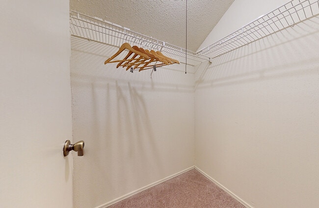 Photo - Willow Creek