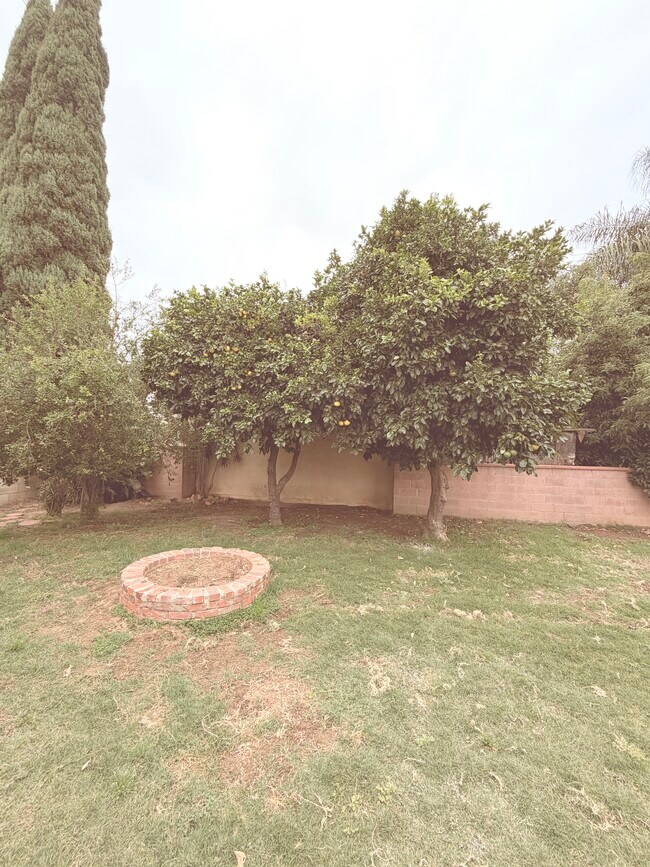 Photo - 8257 E Marshall St