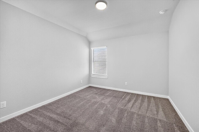 603 Wild Goose Ln