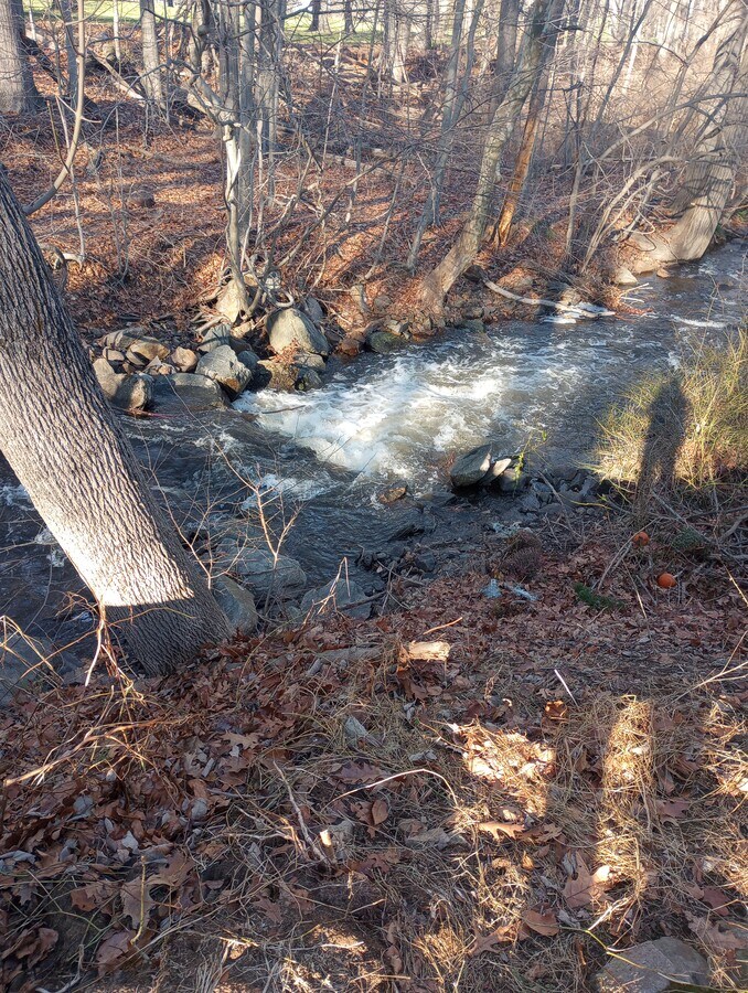 Photo - 40 Country Club Cir