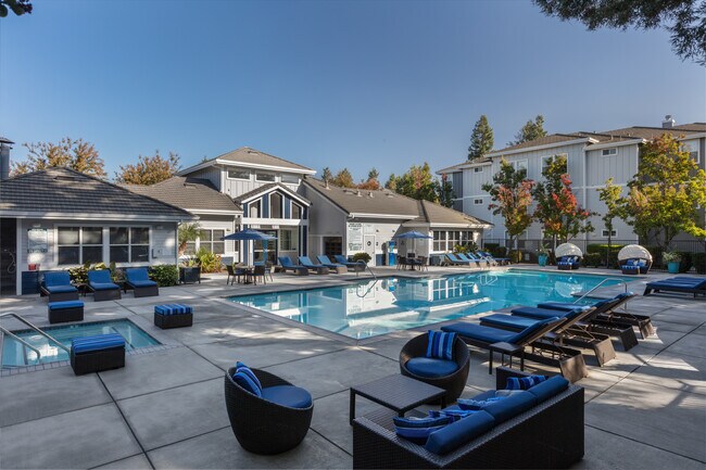 Pool and Spa