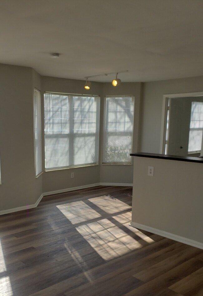 Living/ dining area