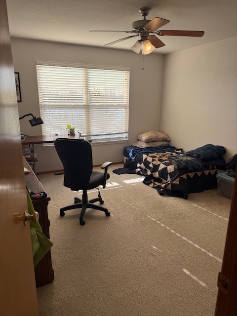 Photo - 2722 Coralberry Ct