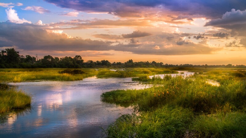 Photo - 1 Regents and UC Blvd