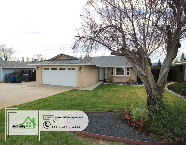 Building Photo - 808 Springer Dr